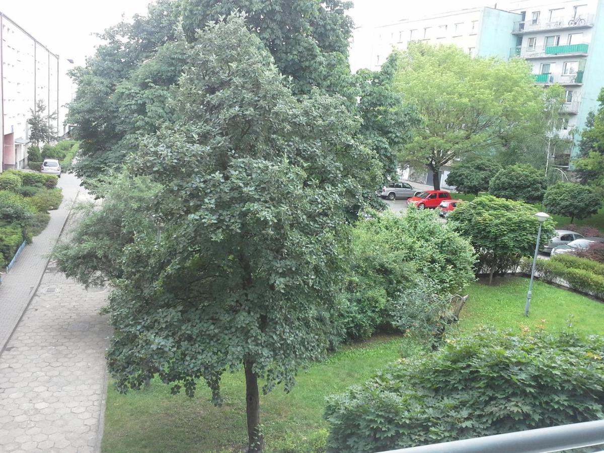 3030 Jana Spychalskiego 32 - Tanie Pokoje W Apartamencie - Samodzielne Zameldowanie - Self Check In Познань Экстерьер фото